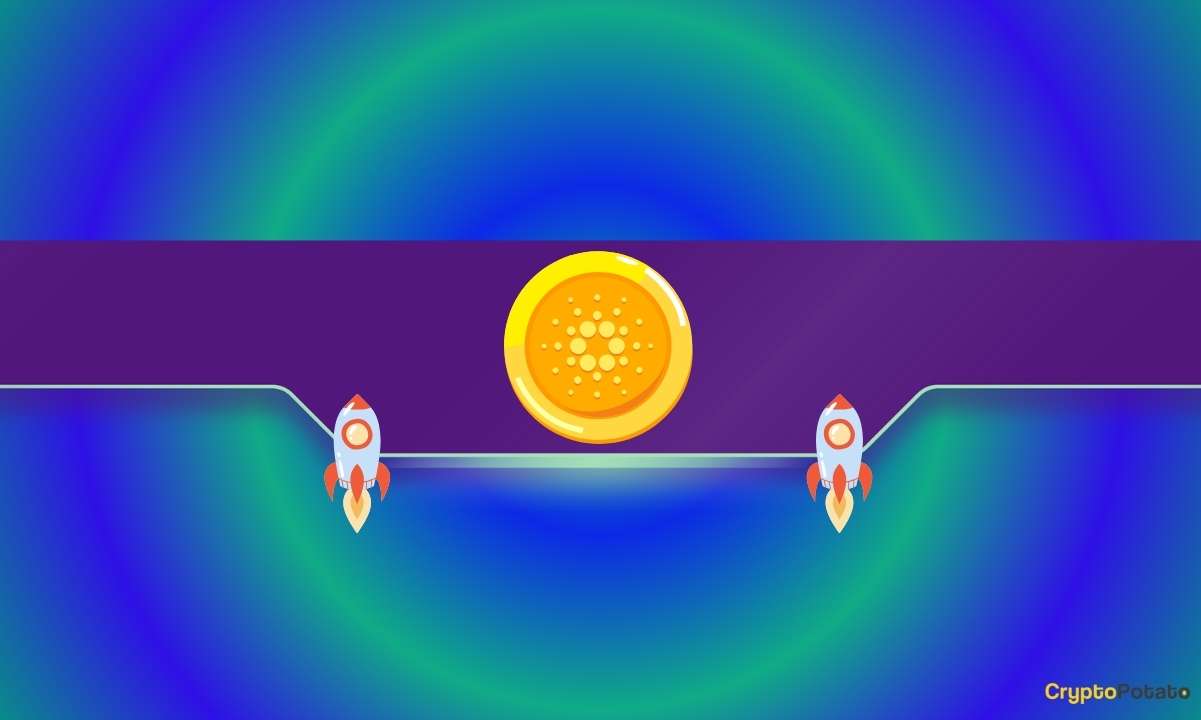 为什么今天Cardano（ADA）的价格有所上涨？