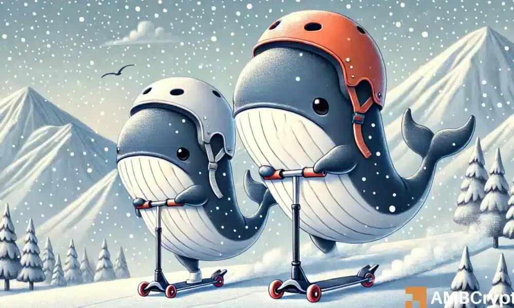 AVAX鲸鱼活动在24小时内激增了80％ - 原因是什么？